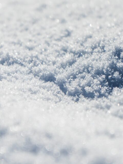 close up photo of snow at daytime
